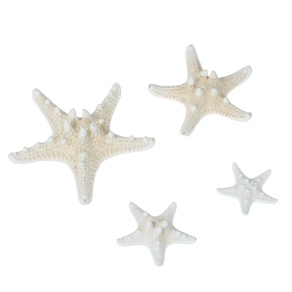 1st White Starfish Hantverk Dekoration Finger Starfish DIY Weddin B