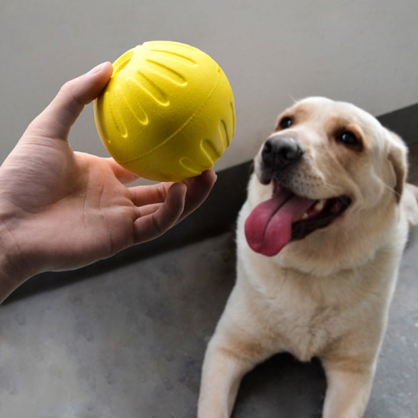 Oförstörbar gummiträningsboll för hundleksak för husdjur med bärare Ro B