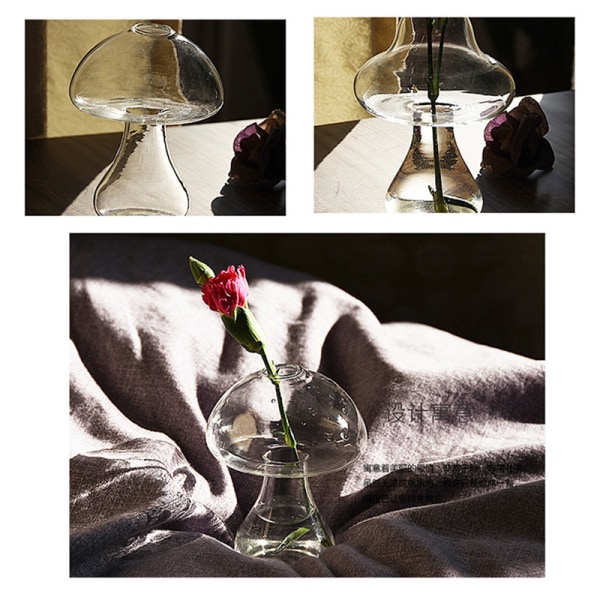 Svampformad glasvas Transparent Hydroponics Vasrum D 12*8cm