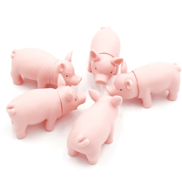 1st Simulera interaktiv simuleringsmodell Pig Dog Cat Rubber Pi
