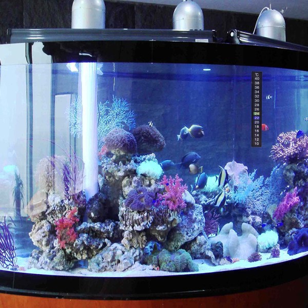 1st 10-40 grader Aquarium Fish Tank vätsketermometer Tempera