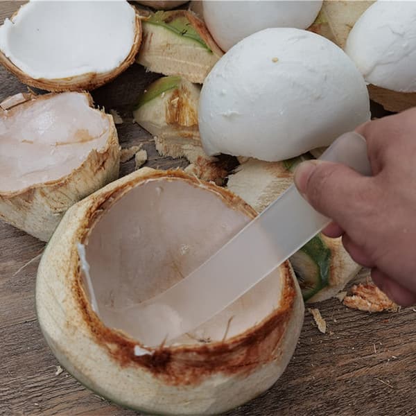 Digging Coconut Tool Plast Coconut Meat Remover Tvättbar Coco 1PC