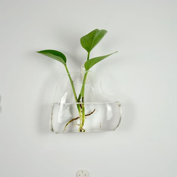 Hot!Hängande glasvas glas terrariumvas för hydroponics gar 爱心壁挂瓶+无痕钉