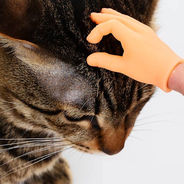 Retande katt plastfingerhandskar Mänsklig hand Cat Interactive T 2