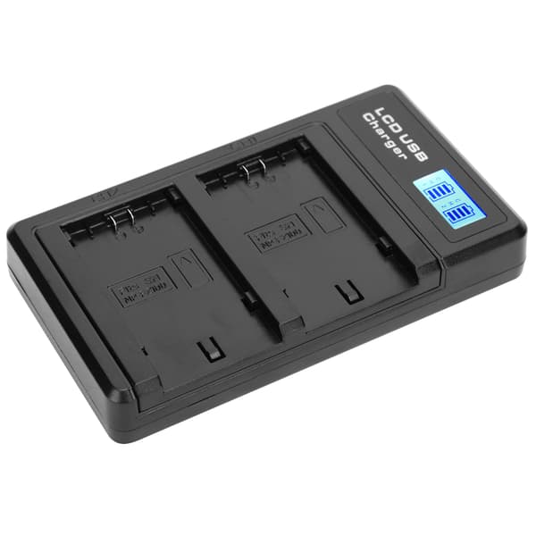 LCD-skærm Lithium Batteri Dobbelt Oplader USB Opladningsbase til NPFZ100