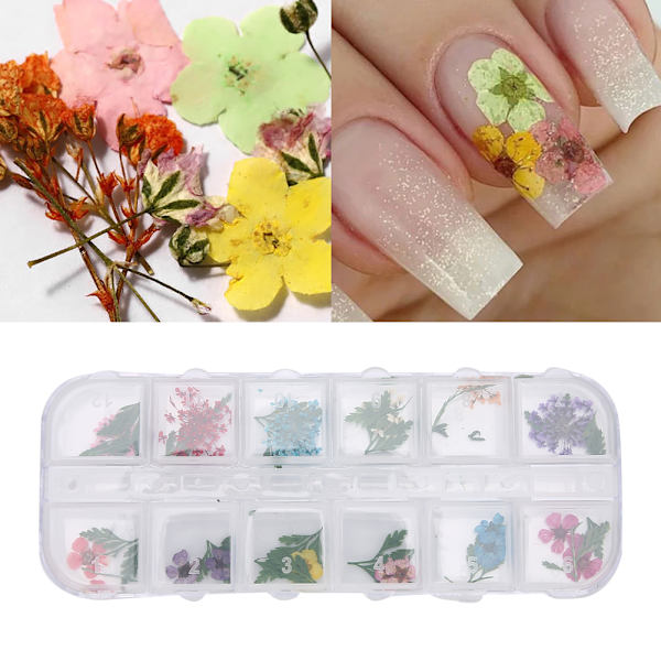 12 färger / låda torkade blommor nageldekoration DIY nagelkonstdekoration tillbehörE stil