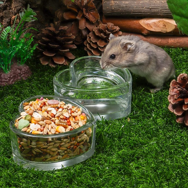 2 st Hamstermatskål och Vatten skål, Söta Form Gräs Dricka och Äta Skål, Transparent Mat skål för Hamster