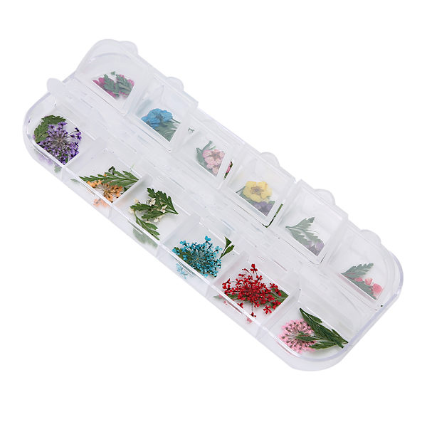 12 färger / låda torkade blommor nageldekoration DIY nagelkonstdekoration tillbehörE stil