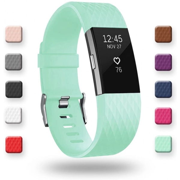 Smart watch, byte av armbandsrem kompatibel med Fitbit charge 2, klassiska och speciella justerbara sportarmband（TEAL-L）