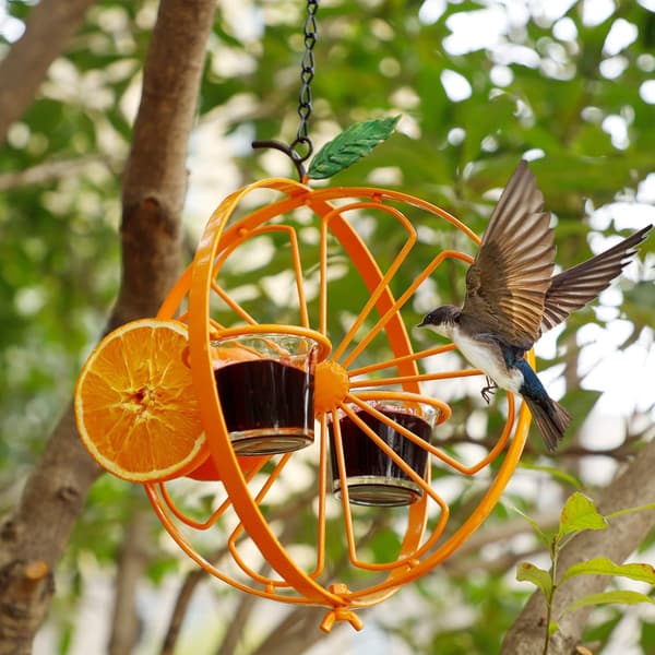 Oriole fuglefoderbræt til udendørs brug, metal hængende orange frugtfoderbræt med 2 glaskopper, druegelé og orangefoderbræt til orioler, Bac