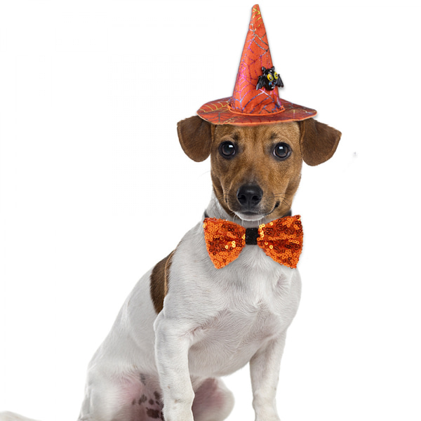 Justerbar Halloween Husdjur Häxa Hatt Katt Valp Hund Halloween Party  Cosplay Kostym Huvudbonader Tillbehör 77d2 | Fyndiq