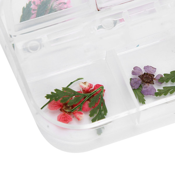 12 färger / låda torkade blommor nageldekoration DIY nagelkonstdekoration tillbehörE stil