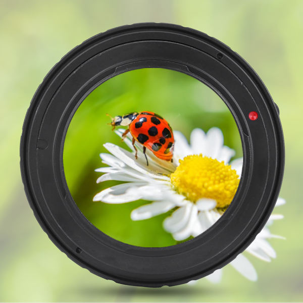Metall Autofokus Linsenadapter Ring für Nikon G Mount Objektiv zur Anpassung an Sony NEX Mount Kamera