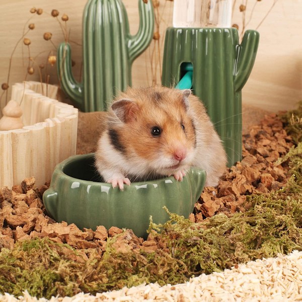 Cactus läckagesäker vattenflaska i keramik, universell vattenflaska för hamster, gerbiler och andra smådjur