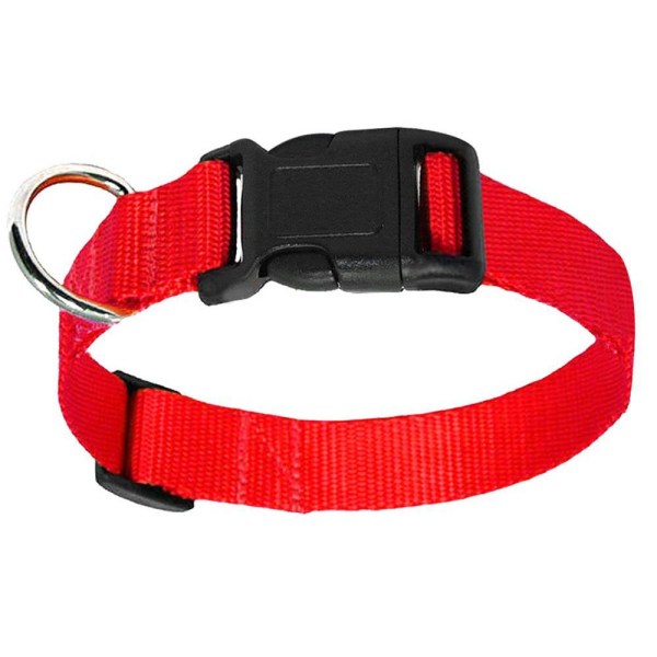 Halsband för hund med säkerhetslås, justerbar mjuk neoprenfodrad andningsbar nylon husdjurshalsband för små till medelstora hundar (S)