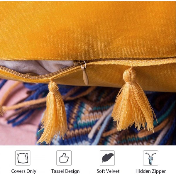 Pakke med 2 fløjlsbløde, ensfarvede dekorative pudebetræk med kvaster, frynser, boho-accent, pudebetræk til sofa, seng (12 x 20 tommer, guld)