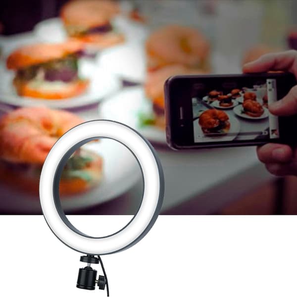 Bærbar dimbar USB fotografisk LED-ringfylllys med kulehodeholder (8'')