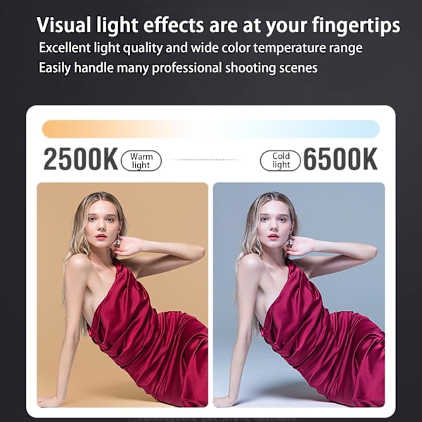 80W Handhållen Utomhusfotografering Högeffekts Fyllnadsljus Professionell Videoinspelning Scenbelysning Livesändning