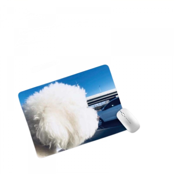 Ultra İnce Medium Gaming Mouse Pad (200*240*2mm Yüzey, Dayanıklı Polikarbonat Yüzey, Silikon+Kumaş) Mavi