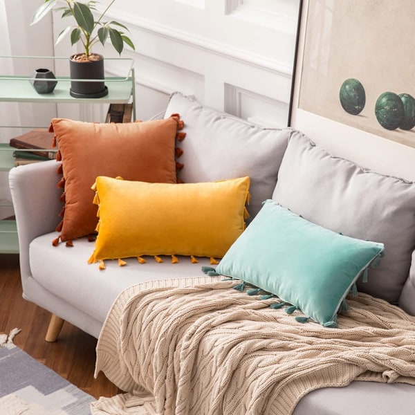Pakke med 2 fløjlsbløde, ensfarvede dekorative pudebetræk med kvaster, frynser, boho-accent, pudebetræk til sofa, seng (12 x 20 tommer, guld)