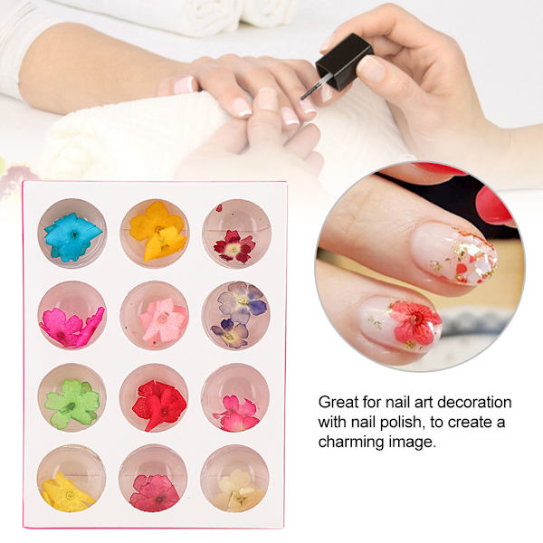 12 Färger Naturliga Torkade Blommor för Akryl UV Gel Nagelkonst Tips Design Case DIY Dekoration