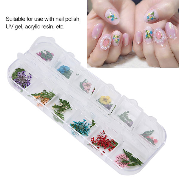 12 färger / låda torkade blommor nageldekoration DIY nagelkonstdekoration tillbehörE stil