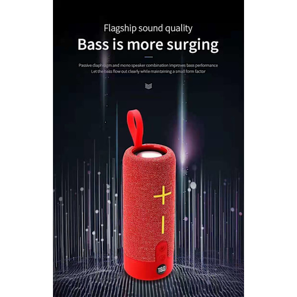 Wekity Bluetooth-högtalare - 24W bärbar högtalare, 360° surroundljud, förbättrad bas, trådlös dubbelparkoppling, IPX7 vattentät, grå