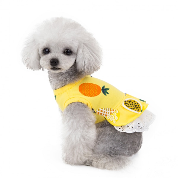 Hundklänning Hundprinsessklänning Sommarklänning med rosett och spets Bröllopsklänning Balettklänning Hawaiiansk volangkjol Festlig elegant bröllopsklänning (storlek S)