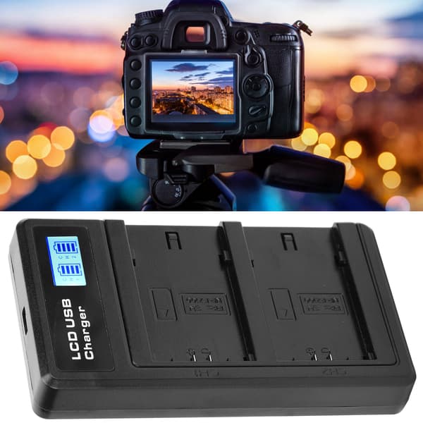 LCD-skjerm Litiumbatteri Dobbel lader USB-ladebase for NPFZ100