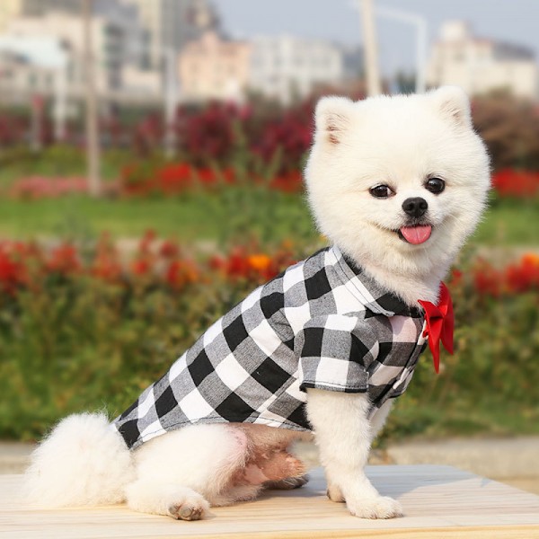 Ternet kæledyrsskjorte hundepolortrøje kæledyrstøj åndbar katte-T-shirt (størrelse M)