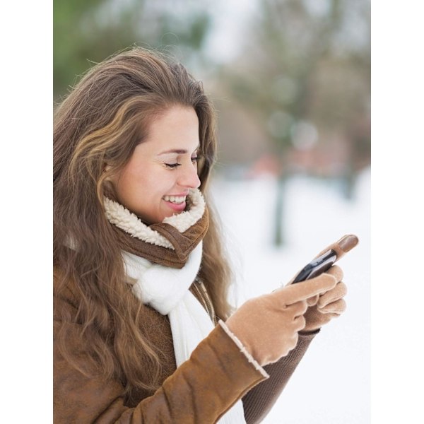 3 Par Damhandskar Vinter Touchscreen Textning Telefon Vindtäta Handskar Fleecefodrade Kalla Väder Varma Handskar, 01