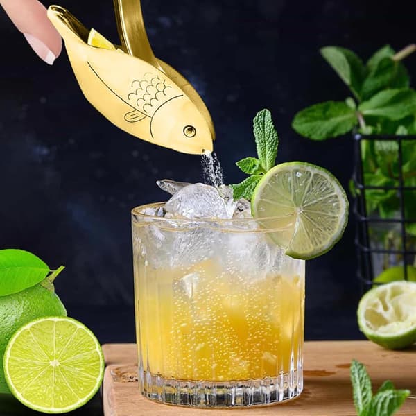 2 stk. guldfiskformet citronpresser, manuel citruspresser i rustfrit stål, kraftig håndpresset bærbar limepresser, ideel til gold 2 PCS