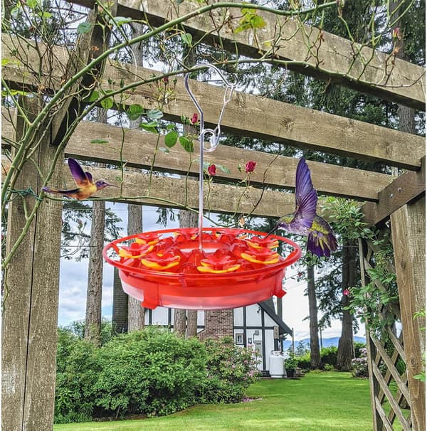 Kolibri Foderautomat - Kolibri Foderautomater til Udendørs Hængende Myre- og Bi-sikret, Cirkulær Siddepind med 8 Blomster Foderporte og 18
