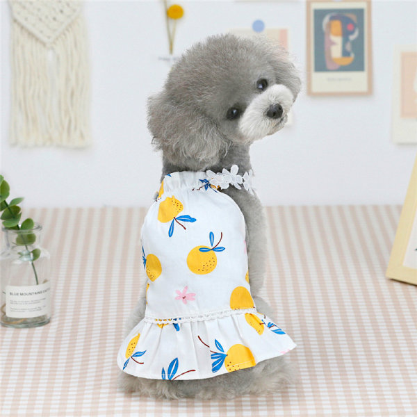 Hundklänning Valp Kjol Hundkläder Prinsesskjol Tutu Frukt Hängselkjol Bröllop Bomullskläder Valpflicka Katt (XS Storlek)
