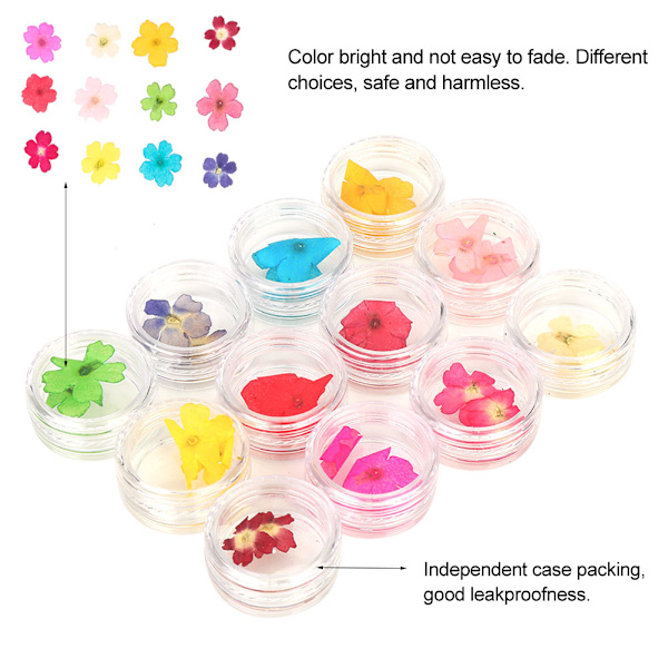12 Färger Naturliga Torkade Blommor för Akryl UV Gel Nagelkonst Tips Design Case DIY Dekoration