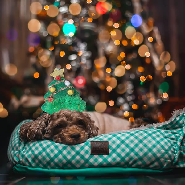 Grønn julehatt hodeplagg juletre hodeplagg søt nisselue hode justerbart tilbehør for valp liten hund katt (S)