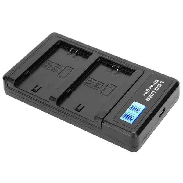 LCD-skærm Lithium Batteri Dobbelt Oplader USB Opladningsbase til NPFZ100