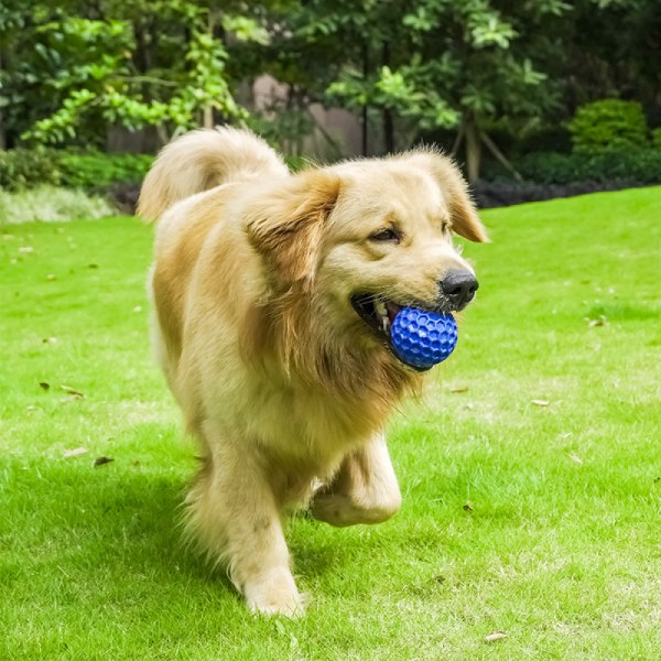 Valp gummiball med klocka hund leksak, inbyggt ljud, kan lindra husdjurens irritabilitet, depression, förlust och andra känslor.