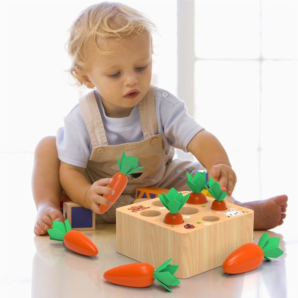KMTJT Montessori Leketil for 1 2 3 År Gamle Småbarn, Gulrot Høste Spill Treleke for 12 18 Måneder Baby Gutter og Jenter, Utdannende