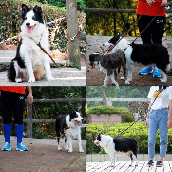 Slitstarkt och mångsidigt 7,5 fot hundkoppel i läder, läderkoppel Handsfree koppel hundträningskoppel för små, medelstora och stora hundar