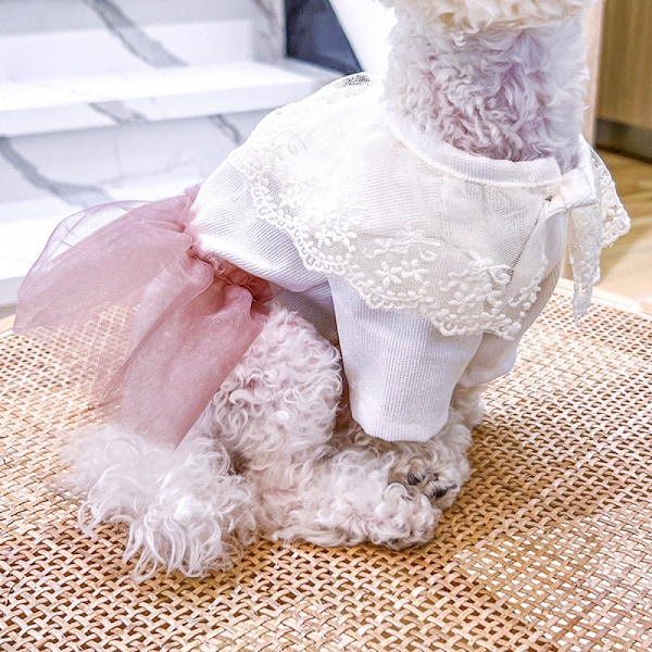 Pet princess tyll kjol, hund katt kläder (XL storlek)