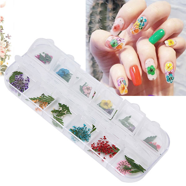 12 färger / låda torkade blommor nageldekoration DIY nagelkonstdekoration tillbehörE stil