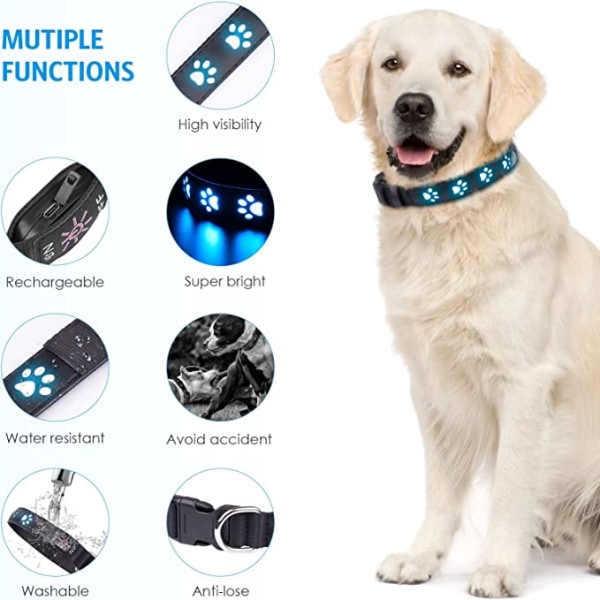 7-färgs allt-i-ett LED-lysande krage USB laddningslampa för hundtassar (M)