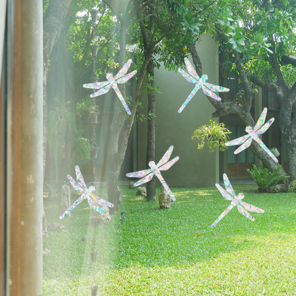 Anti-kollision Window Alert Fågelklistermärken Silhuetter Glasdörrskydd och rädda fåglar, Transparent (6 silhuetter, trollslända)