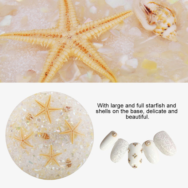 Falska nagelspetsar displayplatta Ocean Starfish Shell Nail Art Display Shooting Tool Beige