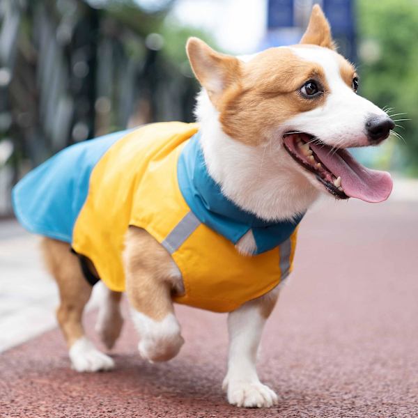 Vandtæt hundetrøje med rullekrave, reflekterende udendørs regnslag til små, mellemstore og store hunde, gul 2X-small