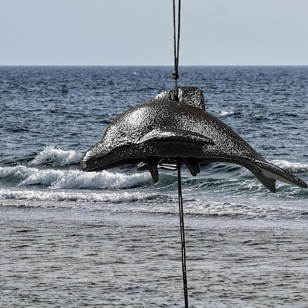 Lyckliga Delfiner, Gjutjärnstempel Delfiner Vindspel, Utomhus Delfiner Vindspel, Båtar, Patio, Balkong, Delfiner Utomhus Sm Dolphin-black