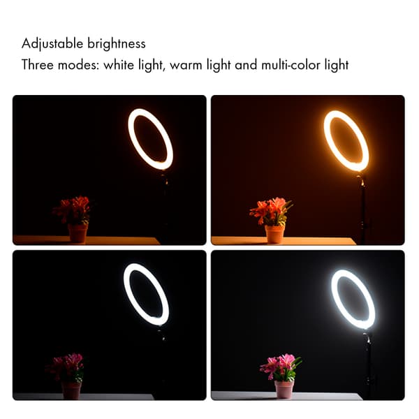 6 tommer 3-tilstande dæmpbar USB LED Video Ring Light Makeup Live Belysningssæt med Bordstativ