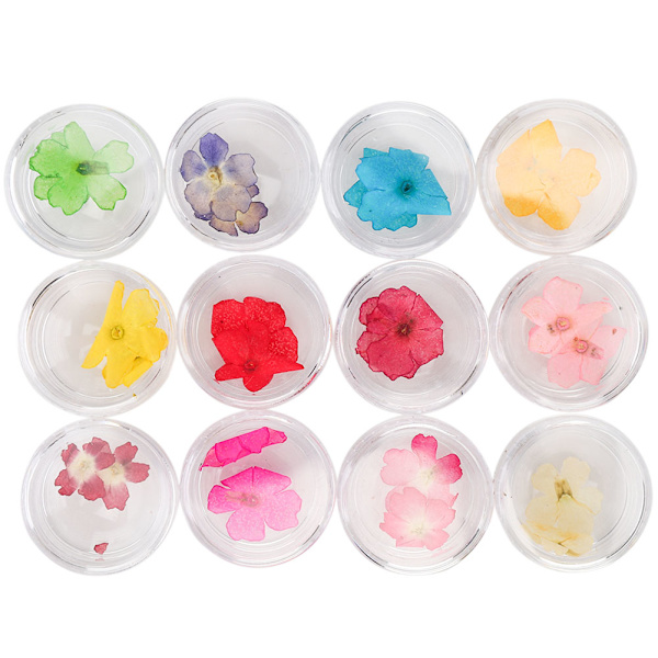 12 Färger Naturliga Torkade Blommor för Akryl UV Gel Nagelkonst Tips Design Case DIY Dekoration