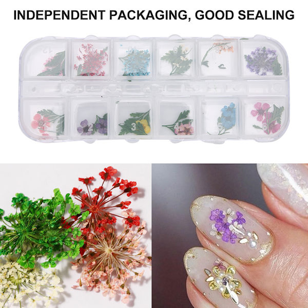 12 färger / låda torkade blommor nageldekoration DIY nagelkonstdekoration tillbehörE stil